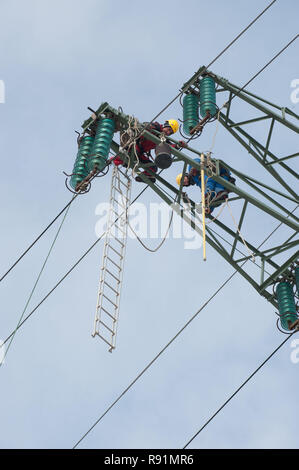 08.03.2010, Brunsbüttel, Schleswig-Holstein, Deutschland - Isolatoren einen Hochspannungsmasten werdener getauscht. 0 RX 100308 D 127 CAROEX.JPG [MODEL RELEASE: NEIN Stockfoto