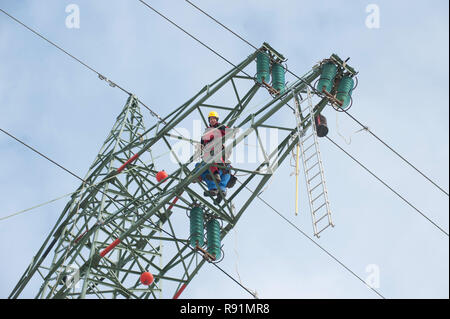 08.03.2010, Brunsbüttel, Schleswig-Holstein, Deutschland - Isolatoren einen Hochspannungsmasten werdener getauscht. 0 RX 100308 D 128 CAROEX.JPG [MODEL RELEASE: NEIN Stockfoto