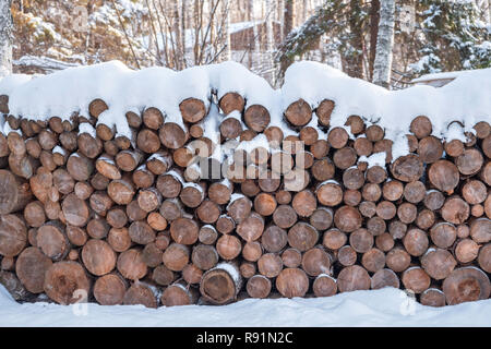 Brennholz in Stapeln, mit Schnee bedeckt. geschnitten Trunks in einer Hütte im Winter Wald Stockfoto