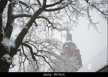 13.12.2010, Itzehoe, Schleswig-Holstein, Deutschland - St.-Laurentii-Kirche in Itzehoe. 0 RX 101213 D 373 CAROEX.JPG [MODEL RELEASE: NICHT ZUTREFFEND, EIGENSCHAFT R Stockfoto