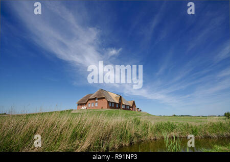 03.06.2011, Osterschuetting, Schleswig-Holstein, Deutschland - Das Ferienhaus Paula das Haus auf der Insel Pellworm. 0 RX 460602 D 523 CAROEX.JPG [MODEL RELEASE: Stockfoto