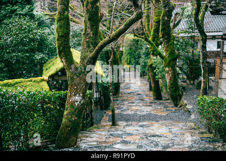 Jakkoin Tempel, Gartenblick in Ohara, Kyoto, Japan Stockfoto