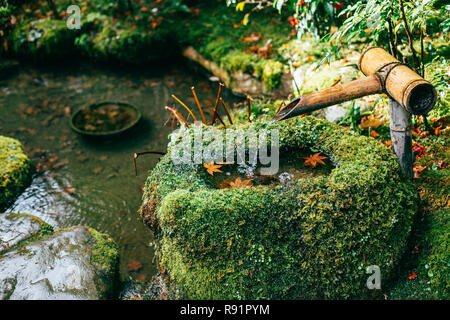 Jakkoin Tempel, Gartenblick in Ohara, Kyoto, Japan Stockfoto