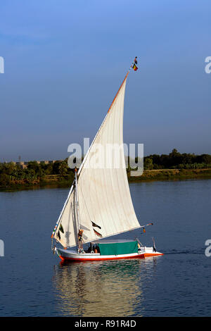 Felucca mit weißen Segeln, Segeln am Nil - Ägypten Stockfoto