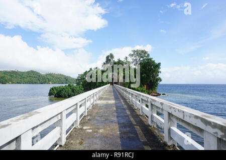 Die Brücken od Samana, Dominikanische Republik Stockfoto