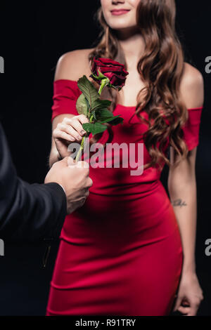 7/8-Ansicht des Menschen präsentieren Rose an die Frau im roten Kleid isoliert auf Schwarz Stockfoto