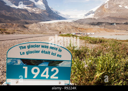 Der Athabasca-Gletscher ist extrem schnell zurück und verlor mehr als 60 % der seine Eismasse in weniger als 150 Jahren. Stockfoto