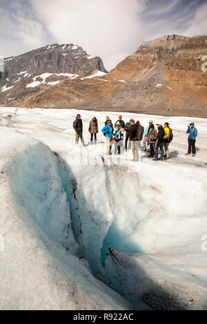 Die schmelzwasserbäche und Touristen auf dem Athabasca Gletscher, die extrem schnell zurücktritt und hat über 60% der Eismasse in weniger als 150 Jahren verloren. Canadian Rockies. Stockfoto