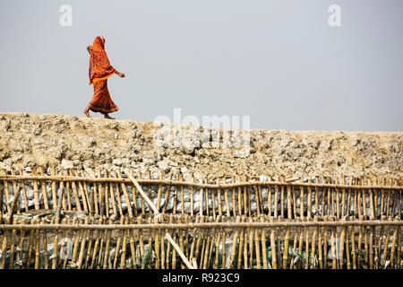 Frau, die traditionelle Robe zu Fuß auf die Mauer aus Stein, Sunderbans, Indien Stockfoto