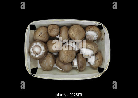 Blick von oben auf die braune Champignons Champignons in Holz- Korb gelegt und isoliert auf schwarzem Hintergrund Stockfoto