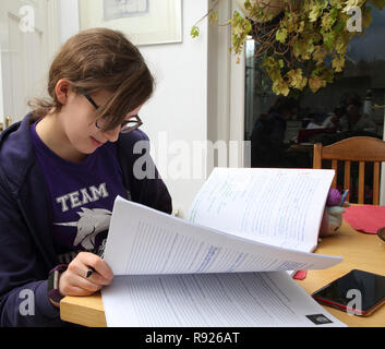 Der 13 Jahre alte Mädchen tun, Schule, Arbeit Surrey, England Stockfoto