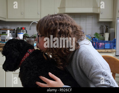 Zwölf Jahre altes Mädchen Umarmen und Küssen eines Cockapoo Hund Surrey, England Stockfoto