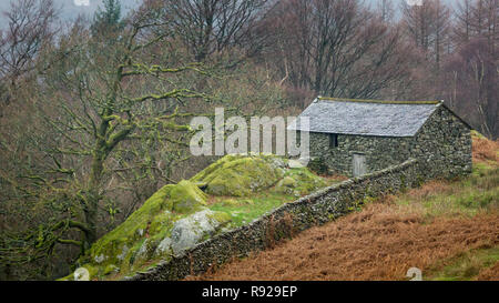 Traditionelle alte Scheune auf einem nassen Winter in der Nähe von Eskdale im Lake District National Park, England. Stockfoto