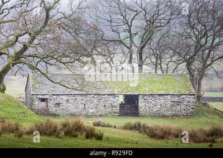 Traditionelle alte Scheune auf einem nassen Winter in der Nähe von Eskdale im Lake District National Park, England. Stockfoto