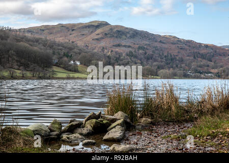 Felsen & Schilf an der Seite des Lake Grasmere mit den Hügeln im Hintergrund in herbstlichen Farben. Cumbria Lake District, England, Großbritannien Stockfoto