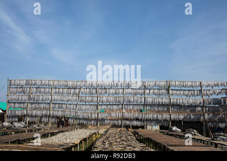 Fische sind hängen am Nazirartek trockener Fisch Werk in Cox's Bazar, Bangladesch getrocknet werden. Stockfoto