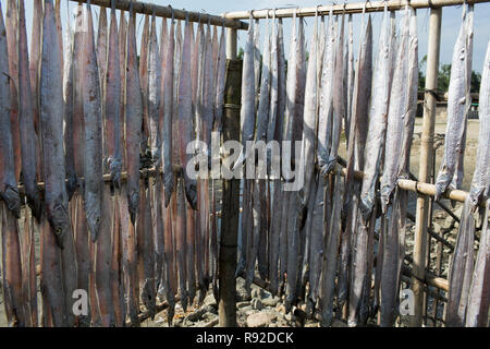 Fische sind hängen am Nazirartek trockener Fisch Werk in Cox's Bazar, Bangladesch getrocknet werden. Stockfoto