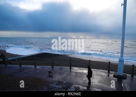 Hastings, East Sussex, UK. 19 Dez, 2018. UK Wetter: Schwere Unwetter Regen sind den ganzen Tag in Hastings, East Sussex als wechselhafter Witterung weiter. Eine Frau und ihr Hund einen Spaziergang entlang der Strandpromenade, da große schwillt der eingehenden Regen können draußen auf dem Meer gesehen werden. © Paul Lawrenson 2018, Foto: Paul Lawrenson/Alamy leben Nachrichten Stockfoto