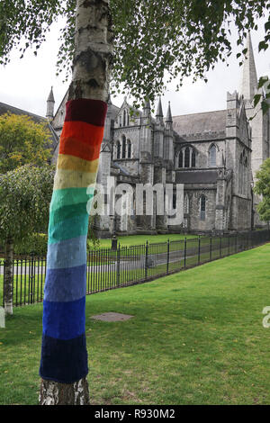 Gestrickte Bäume und St. Patrick's Cathedral im Hintergrund - Dublin, Irland Stockfoto