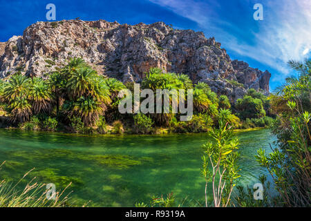 Palm Wald am Strand Preveli, Kreta, Griechenland, Europa. Kreta ist die größte und bevölkerungsreichste der griechischen Inseln. Stockfoto