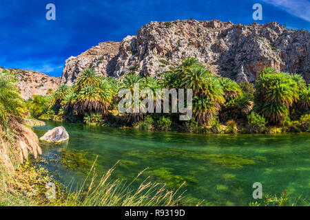 Palm Wald am Strand Preveli, Kreta, Griechenland, Europa. Kreta ist die größte und bevölkerungsreichste der griechischen Inseln. Stockfoto