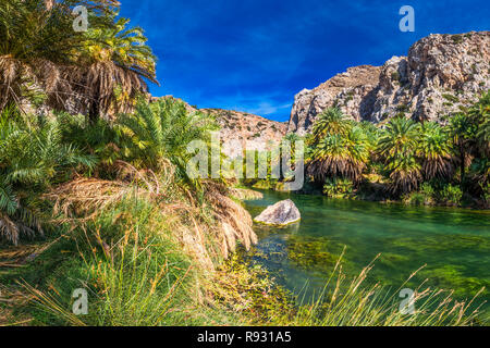 Palm Wald am Strand Preveli, Kreta, Griechenland, Europa. Kreta ist die größte und bevölkerungsreichste der griechischen Inseln. Stockfoto