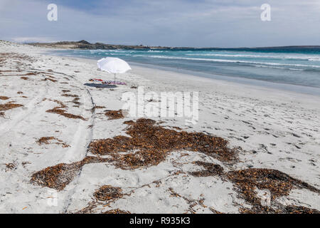 White Sands mit Algen vor dem Pazifischen Ozean während Urlauber die Sonne auf einem entfernten wilden Strand in der Atacama Wüste in Punta de Choros Strand genießen Stockfoto