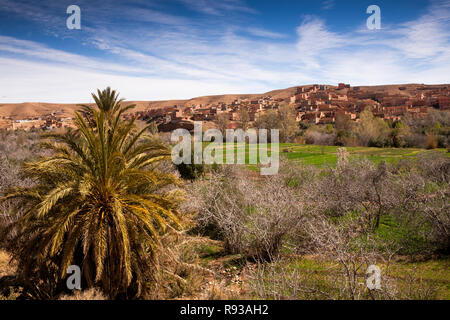 Marokko Dades Tal landwirtschaftliche Felder in der Nähe von Tamellalt im Hohen Atlas Stockfoto