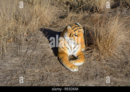 Stofftier Tiger in trocken Hohe winter Gras im Freien Stockfoto