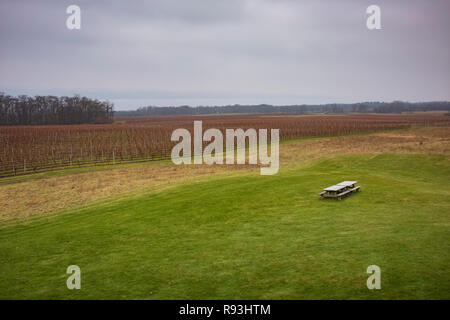 Felder von Weinstöcken entlang Seneca Lake in der Nähe von Lodi, NY in der Fingerlakes Region, 15. Dezember 2018. Stockfoto