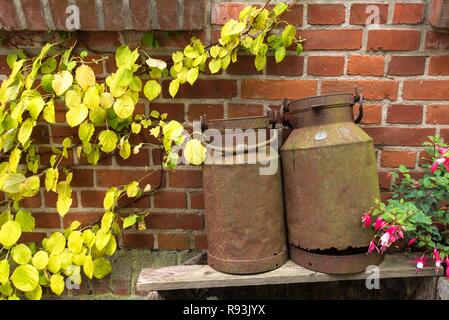 Rostige alte Milchkannen vor einer Mauer, Hauswand, Mecklenburg-Vorpommern, Deutschland Stockfoto