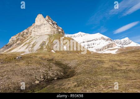 Alkehornet, Spitzbergen Westküste, Svalbard, Norwegen, Europa Stockfoto