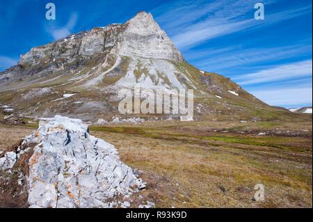 Alkehornet, Spitzbergen Westküste, Svalbard, Norwegen, Europa Stockfoto