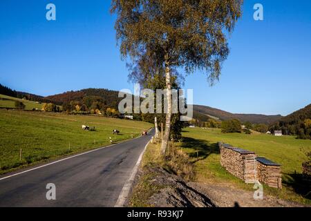 Straße in der Nähe von Niedersorpe im Sorpetal Tal, Sauerland, Nordrhein-Westfalen Stockfoto