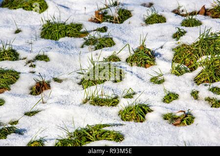 Tauwetter, schmelzenden Schnee auf der Wiese, Deutschland Stockfoto