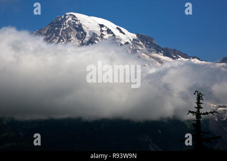 WA 15587-00 ... WASHINGTON - Blick auf den Mount Rainier von Eagle Peak Sattel in Mount Rainier Natonal Park. Stockfoto