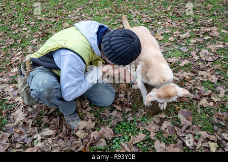 Ein Mann und sein Hund auf weißen Trüffel Jagd, Piemont, Italien Stockfoto