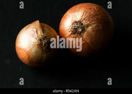 Zwiebel auf schwarzem Hintergrund Stockfoto
