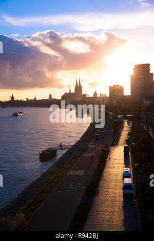 Blick vom Zoo Brücke über den Rhein, den Dom und die Stadt, Konrad-Adenauer-Ufer, Köln, Deutschland. Blick von der Zoobruecke ueber d Stockfoto