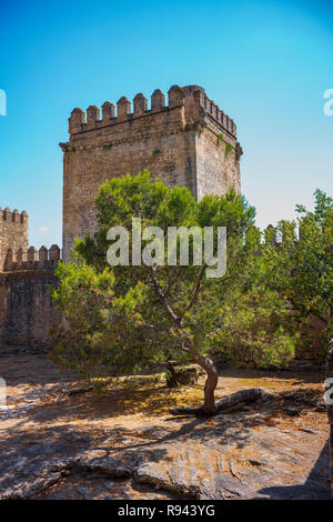 Die verlassenen Stein Aguzaderas Schloss in El Coronil, Spanien, eine Burgruine aus dem 14. Jahrhundert Morrish schloss, ruht in einem Feld mit Sonnenblumen in einer wolkenlosen, Summe Stockfoto