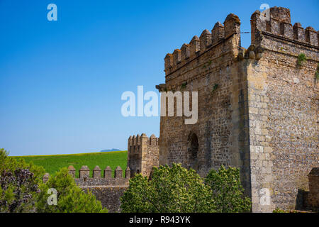 Die verlassenen Stein Aguzaderas Schloss in El Coronil, Spanien, eine Burgruine aus dem 14. Jahrhundert Morrish schloss, ruht in einem Feld mit Sonnenblumen in einer wolkenlosen, Summe Stockfoto