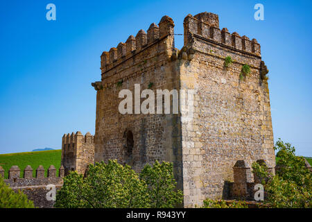 Die verlassenen Stein Aguzaderas Schloss in El Coronil, Spanien, eine Burgruine aus dem 14. Jahrhundert Morrish schloss, ruht in einem Feld mit Sonnenblumen in einer wolkenlosen, Summe Stockfoto