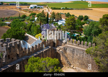 Die verlassenen Stein Aguzaderas Schloss in El Coronil, Spanien, eine Burgruine aus dem 14. Jahrhundert Morrish schloss, ruht in einem Feld mit Sonnenblumen in einer wolkenlosen, Summe Stockfoto