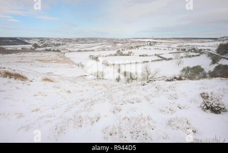 Blick über den wunderschönen North York Moors fallenden Schnee auf einem hellen Morgen im Winter, Goathland, Yorkshire, Großbritannien. Stockfoto