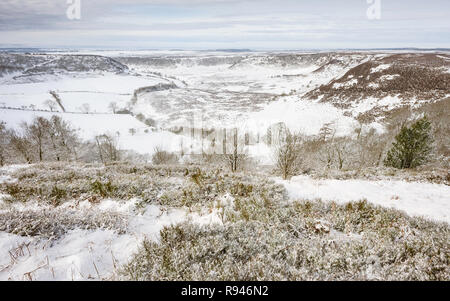 Schwere Schnee über das Loch der Horcum, einem natürlichen Depression, in der North York Moors im Winter in der Nähe von Goathland, Yorkshire, Großbritannien. Stockfoto