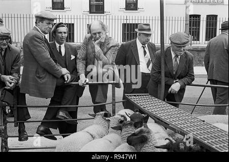 Bauern bei einem Schafverkauf in Abergavenny, Monmouthshire, Wales, 1978 Stockfoto