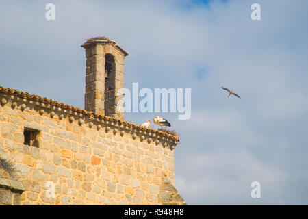 Störche in ihrem Nest auf dem Dach der Kirche. Colmenar Viejo, Provinz Madrid, Spanien. Stockfoto