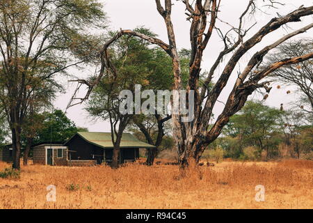 Eine Hütte im Wald, Meru National Park, KENIA Stockfoto