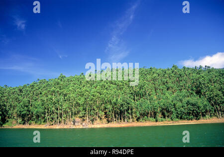 Echo Point, Munnar, Kerala, Indien Stockfoto