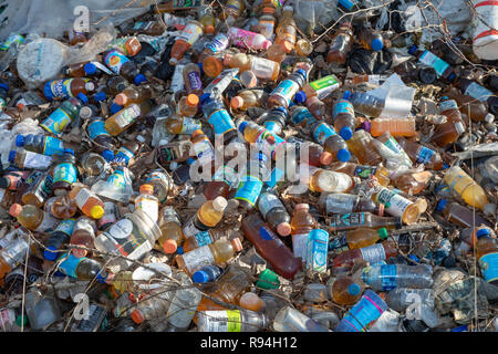 Detroit, Michigan - viele Hunderte von Flaschen und Dosen, die sich illegal in einem bewaldeten Gebiet in der Nähe der Innenstadt. Viele sind Saft oder Wasser Behälter, die n Stockfoto